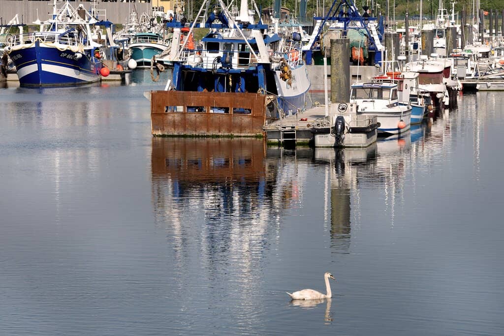 Colorful Houses of Mers-les-Bains