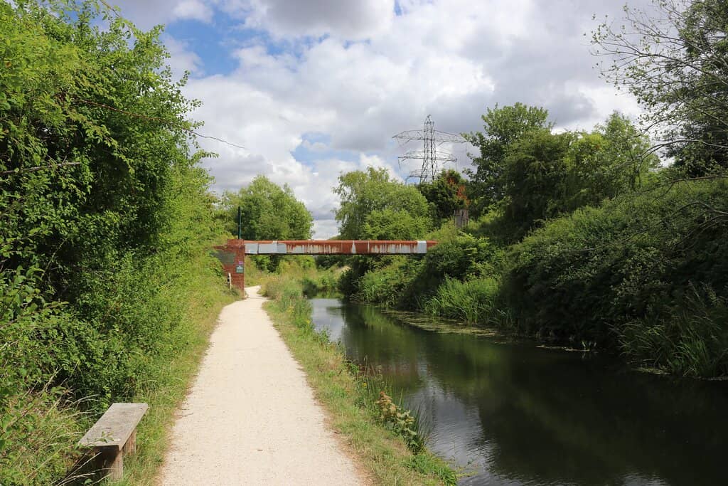 Wildlife Spotting Opportunities