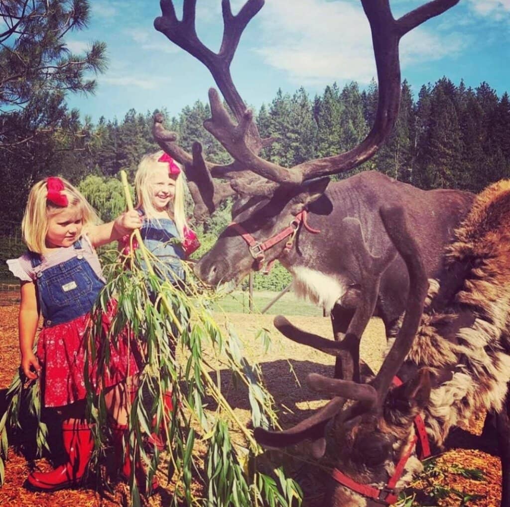 Holiday Magic