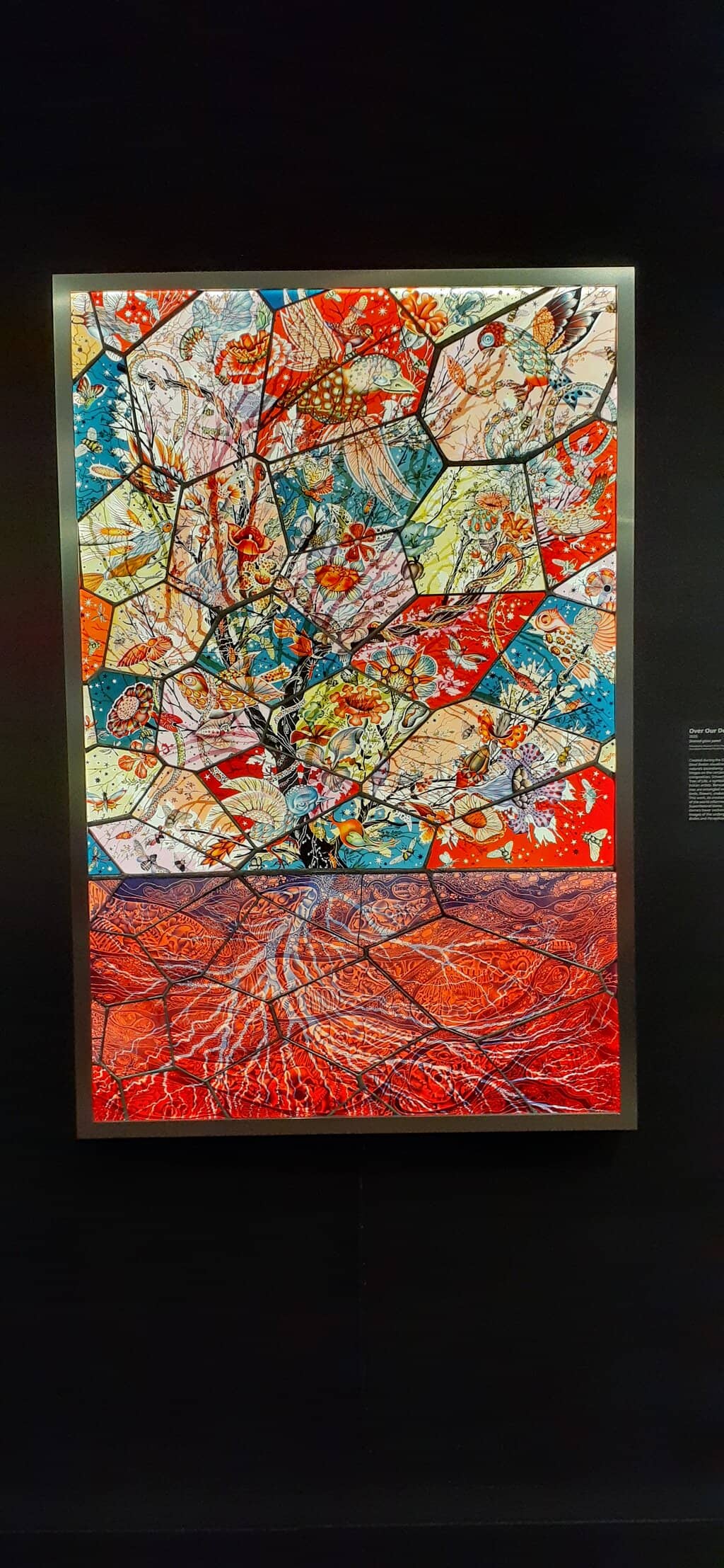 Special Exhibitions
