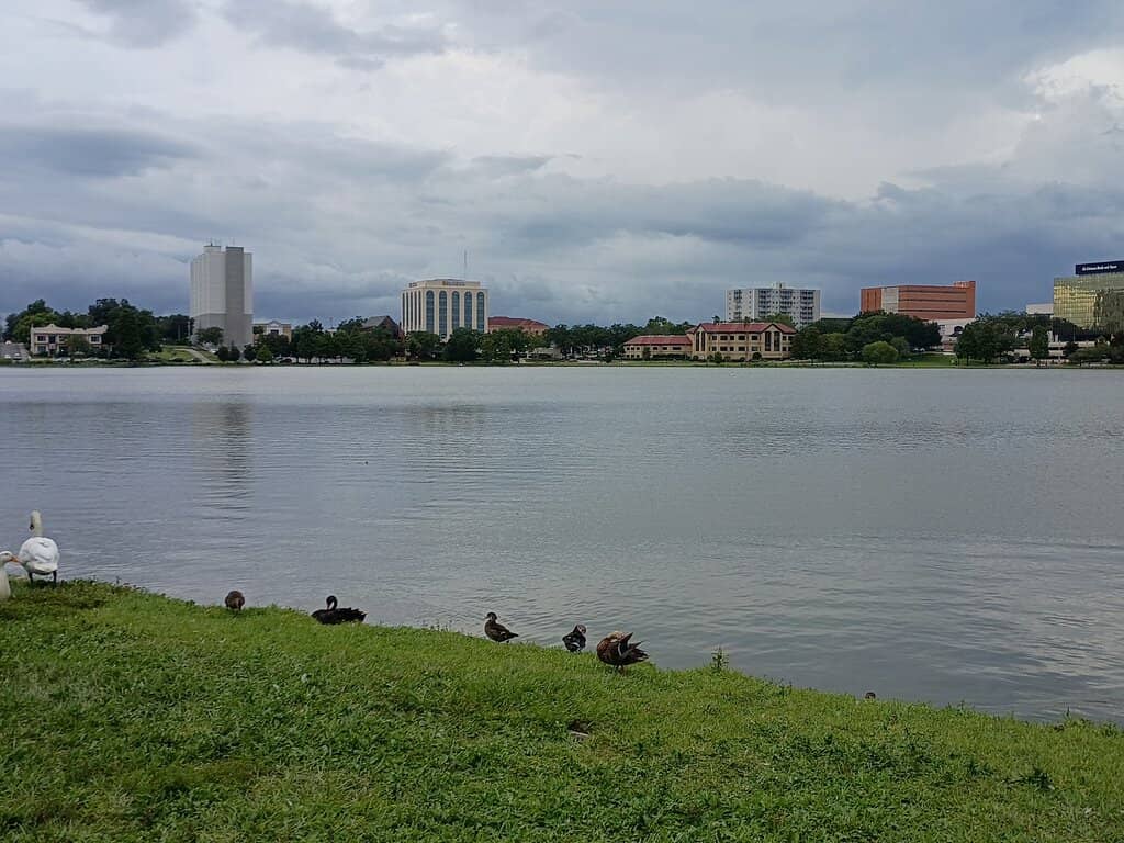 Abundant Birdlife Viewing