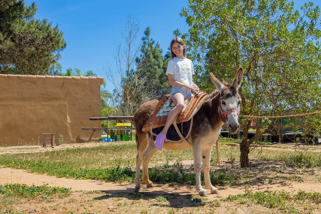 Splash Pool & Water Slides