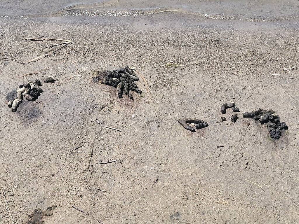 Peaceful Water Views