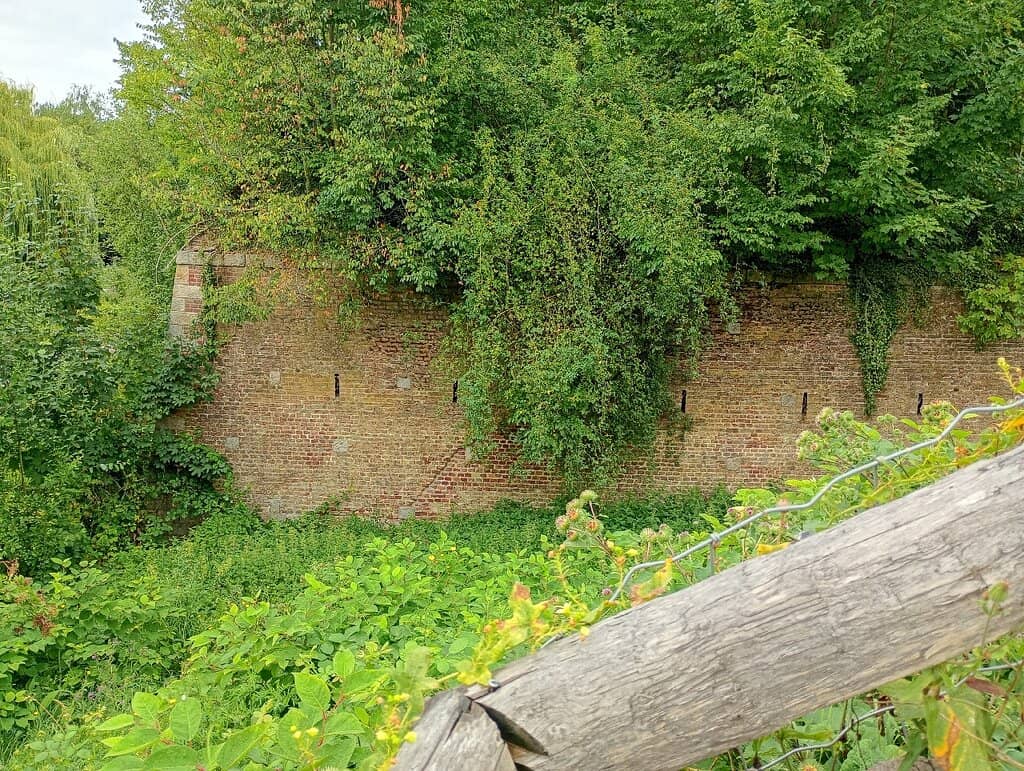 Vertical photo