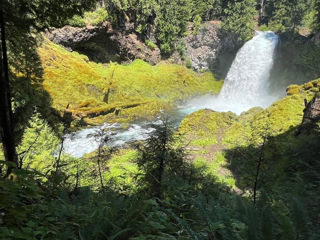 McKenzie River Trail