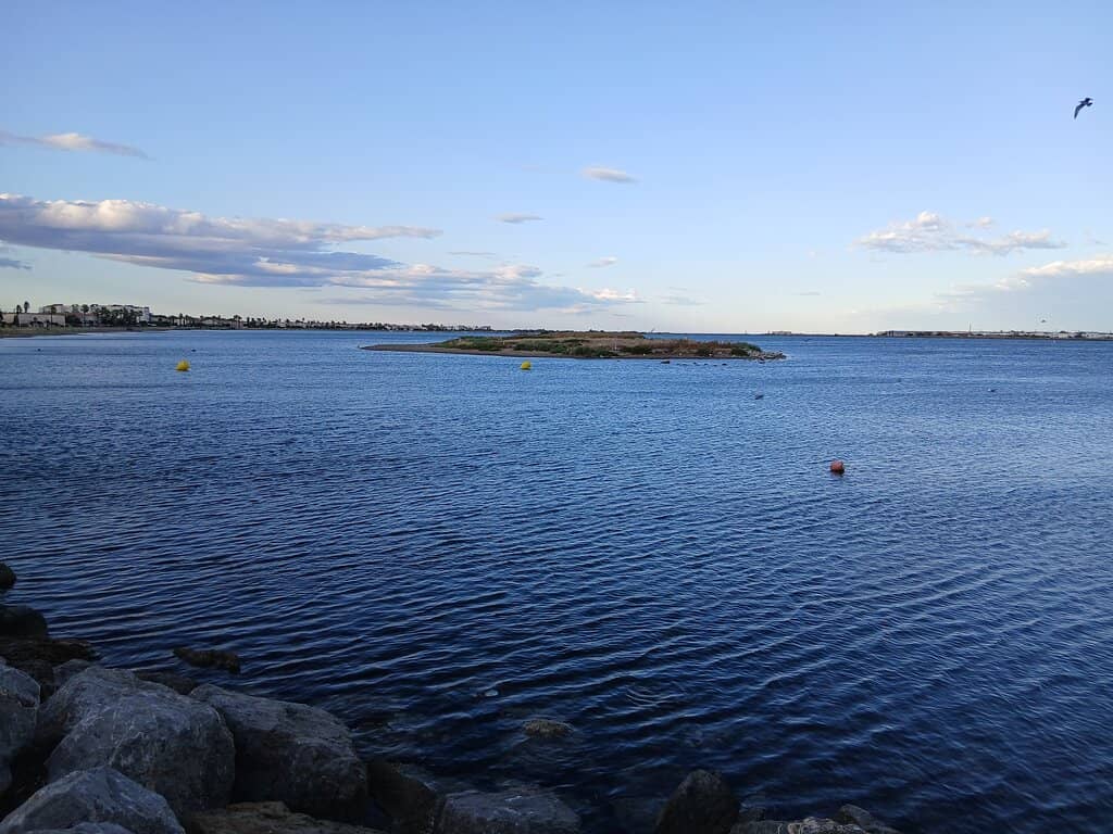 Harbor Views