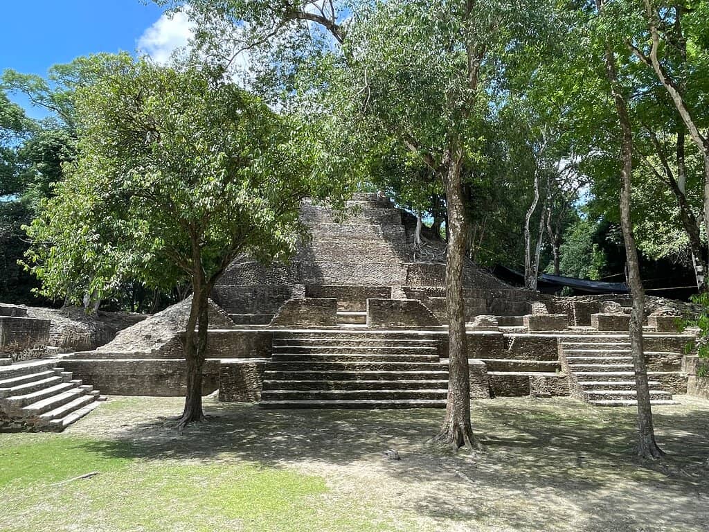 The Museum
