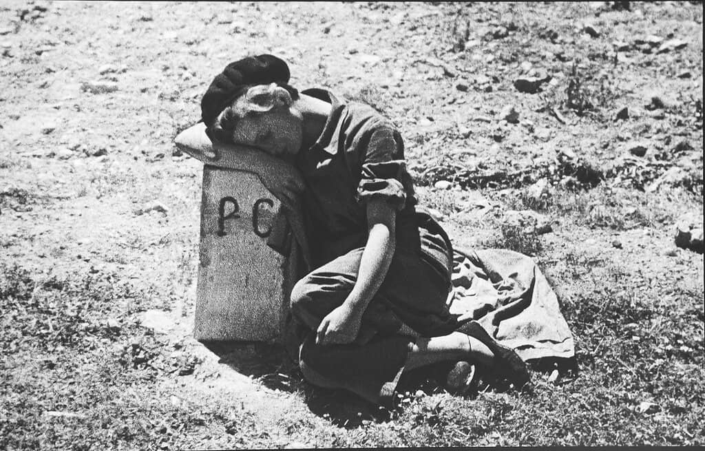 Contemporary Exhibitions