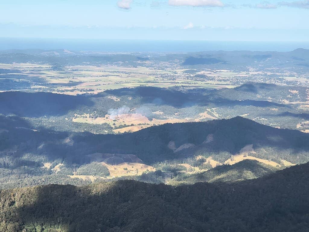Lush Rainforest Walk