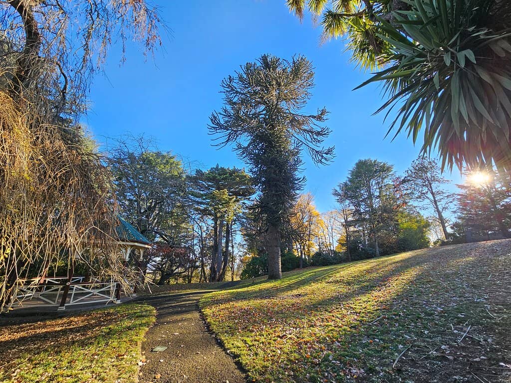 Diverse Plant Collections