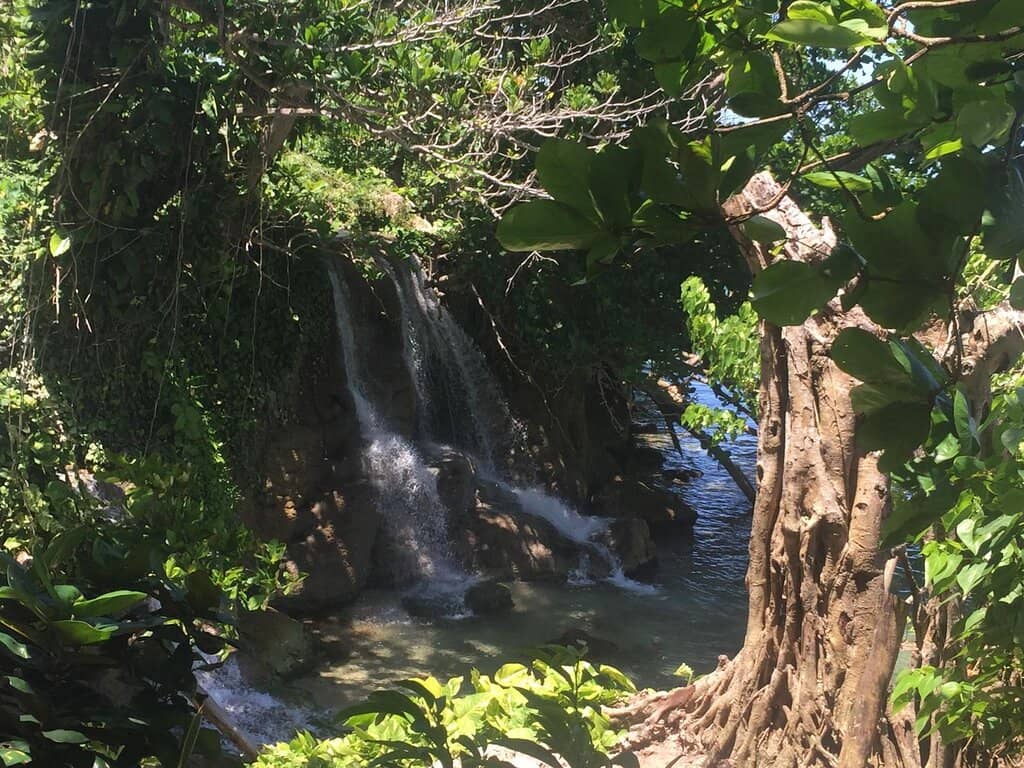 Local Craft & Food Stalls