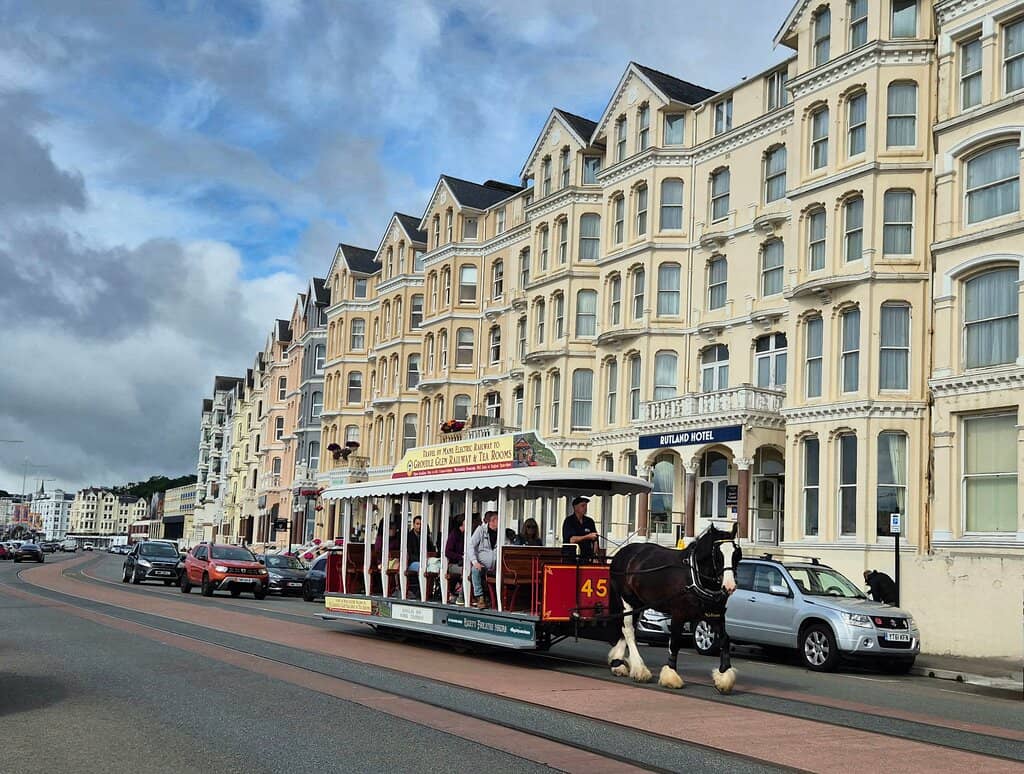 Promenade Views