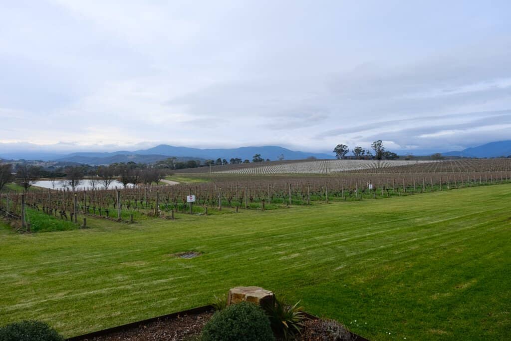 Vineyard Views & Dining