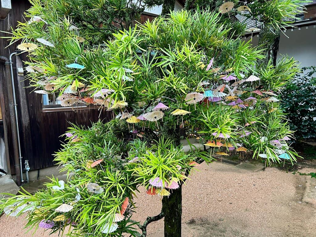 Summer Wind Chimes