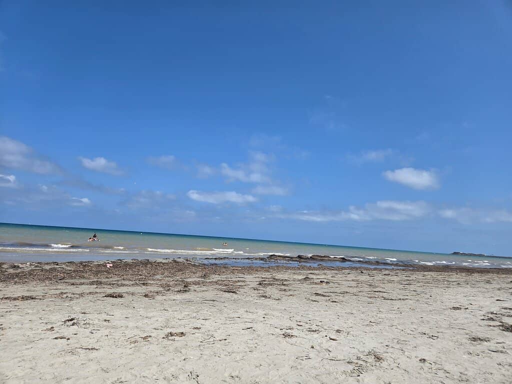 Flamingo Spotting