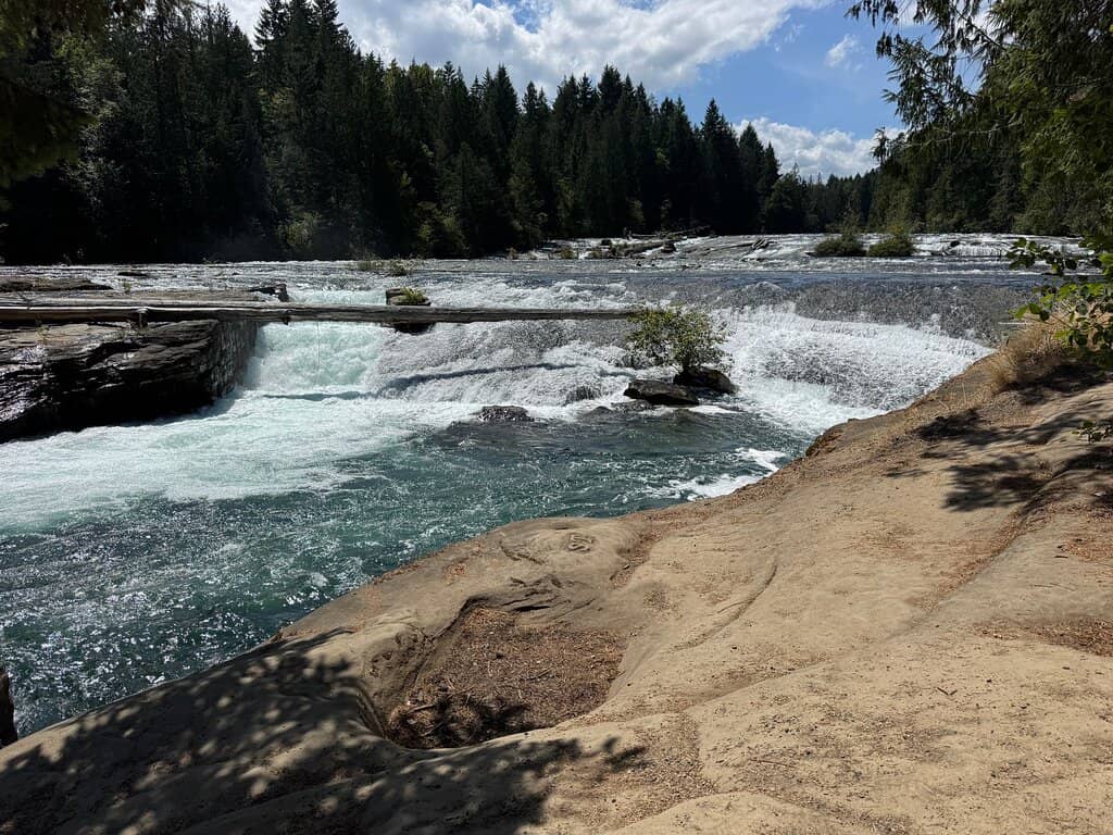 Shaded Forest Trails