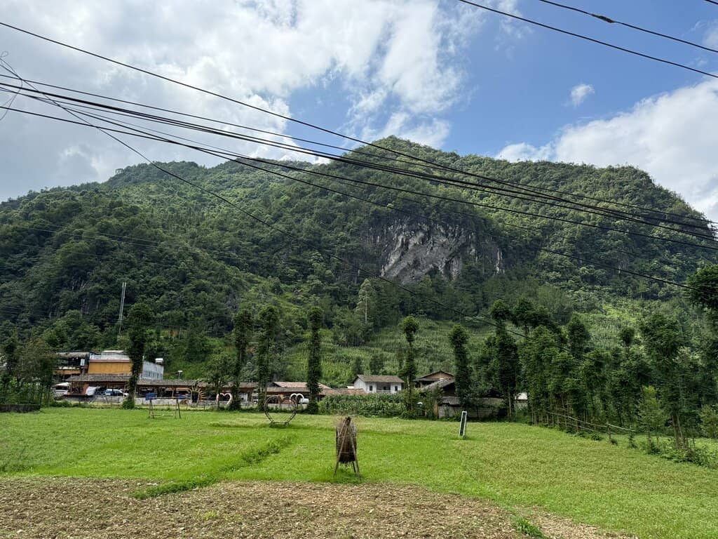 Vertical photo