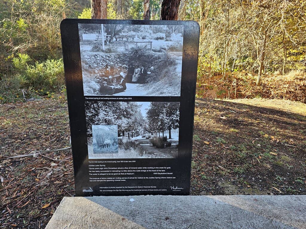 Camping Under the Stars