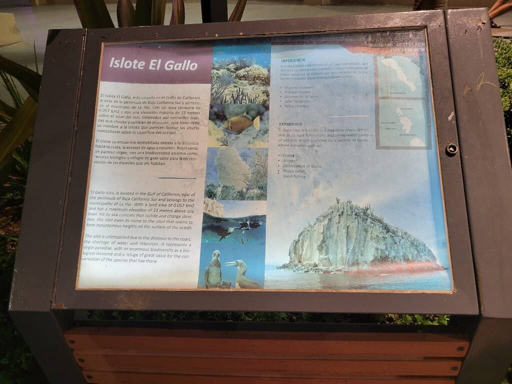 Vibrant Evening Atmosphere