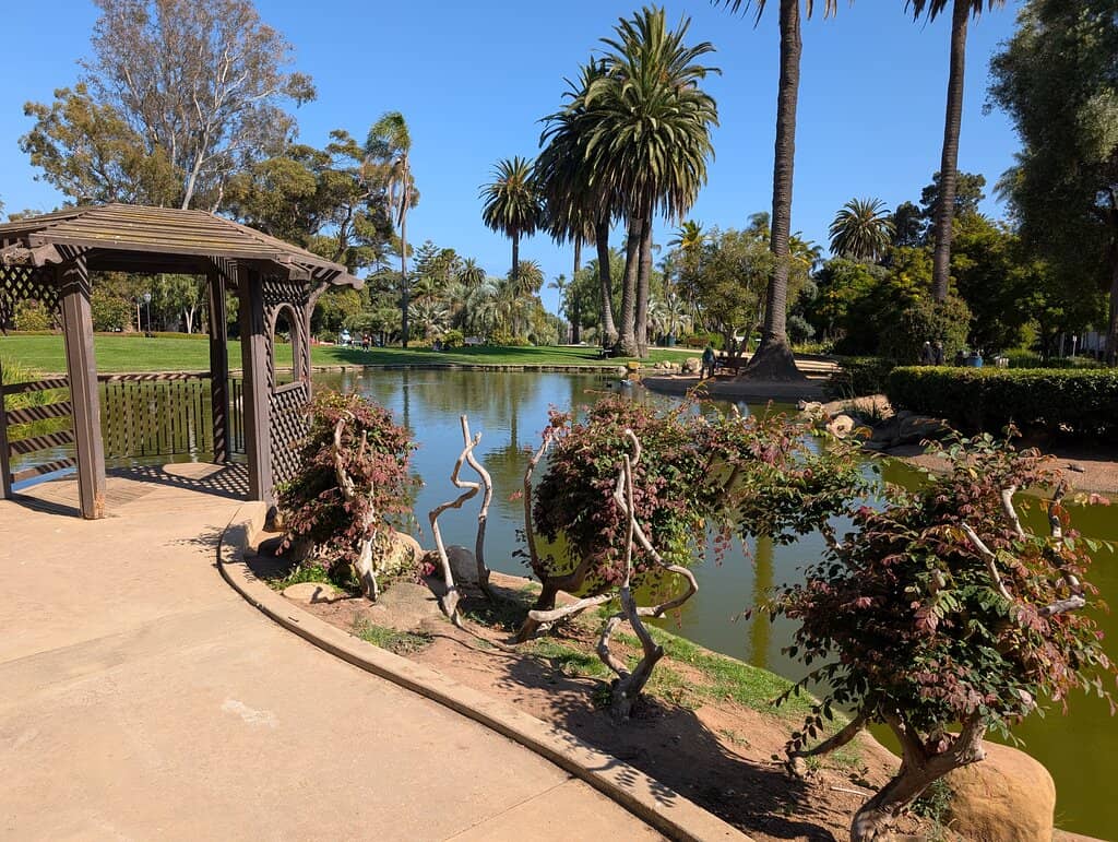 Koi Pond
