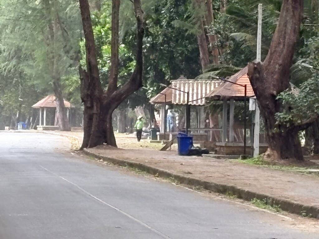 Local Eateries