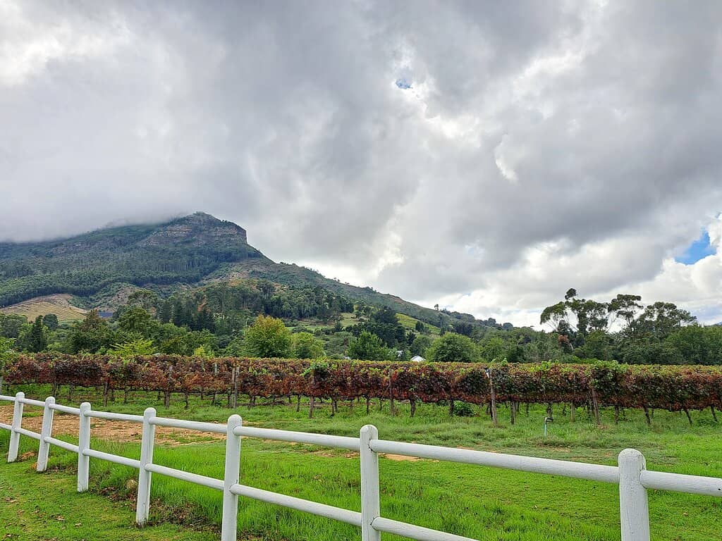 Family-Friendly Amenities