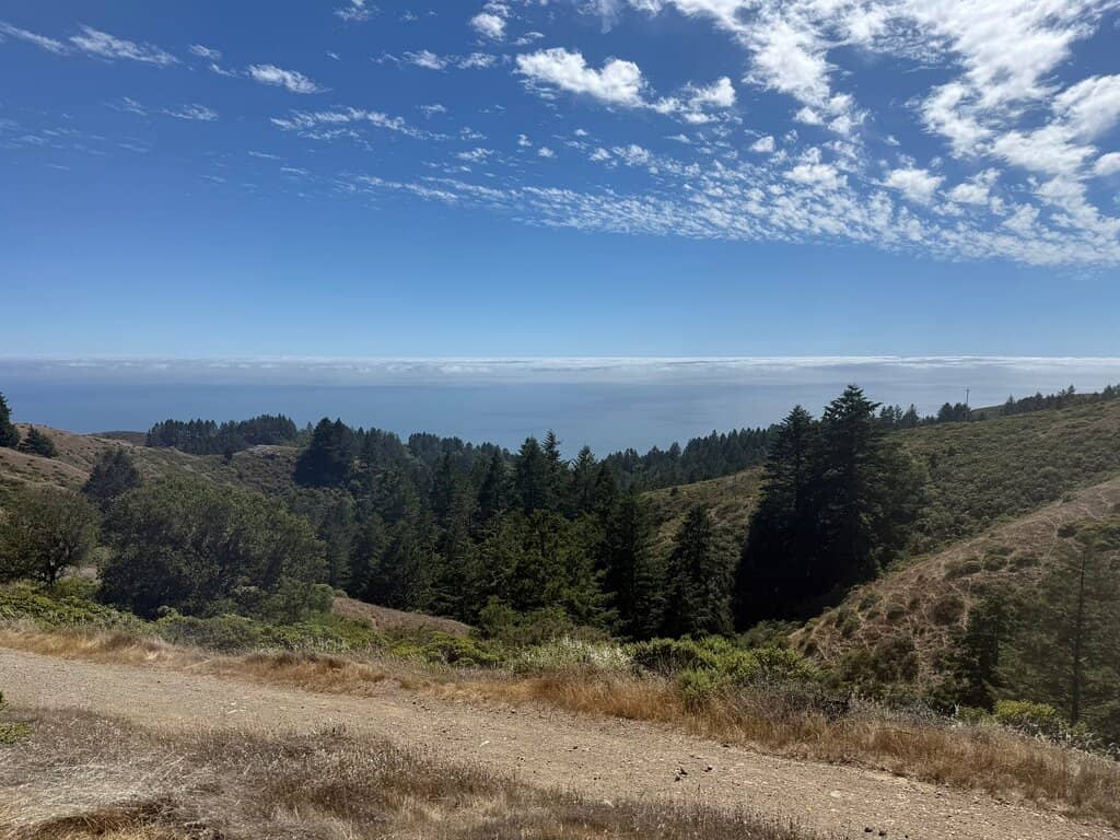 Redwood Groves