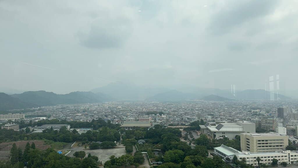 Mt. Fuji Vista