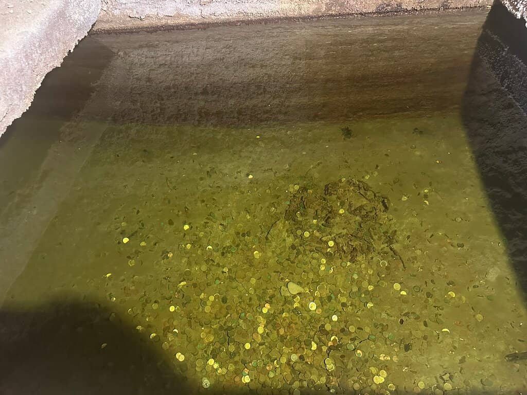 Historical Workshops