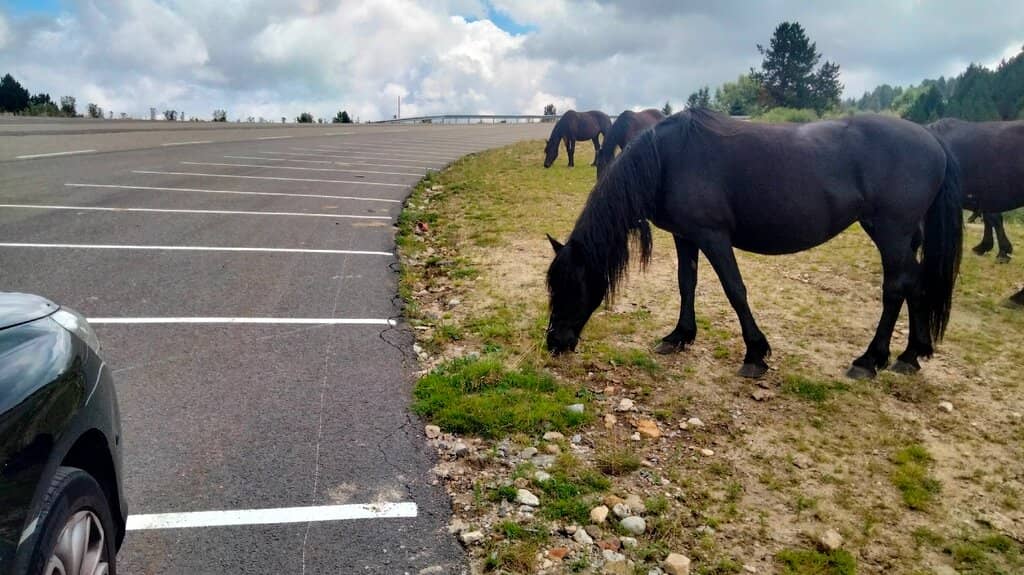 Scenic Hiking Trails