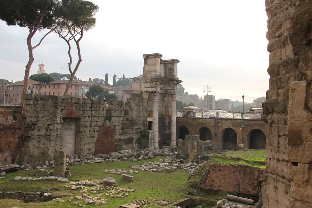 Sole Surviving Columns