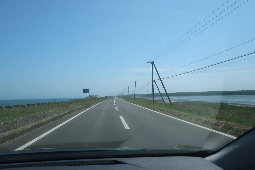 Panoramic Marshland Views