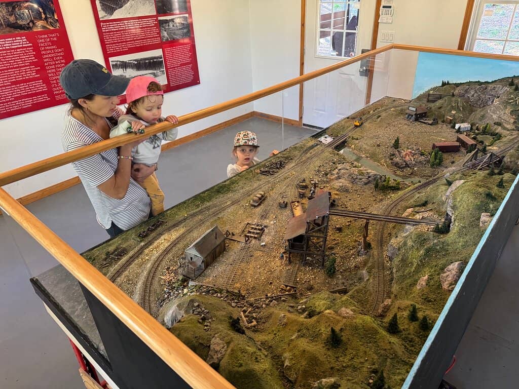 Indigenous Artifacts