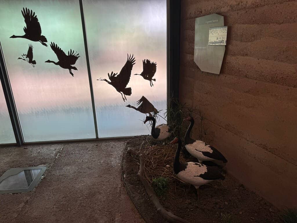 Marrawuddi Gallery