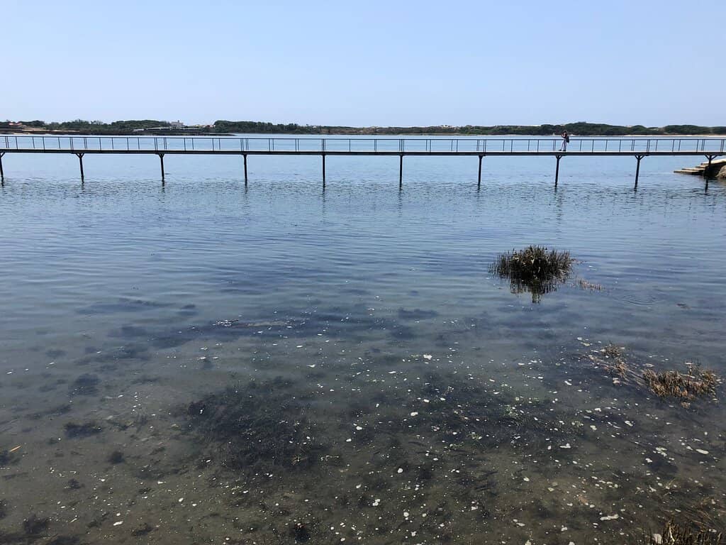 Birdwatching Paradise