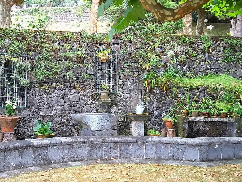 History & Tea Making