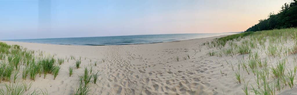 Dog-Friendly Adventures