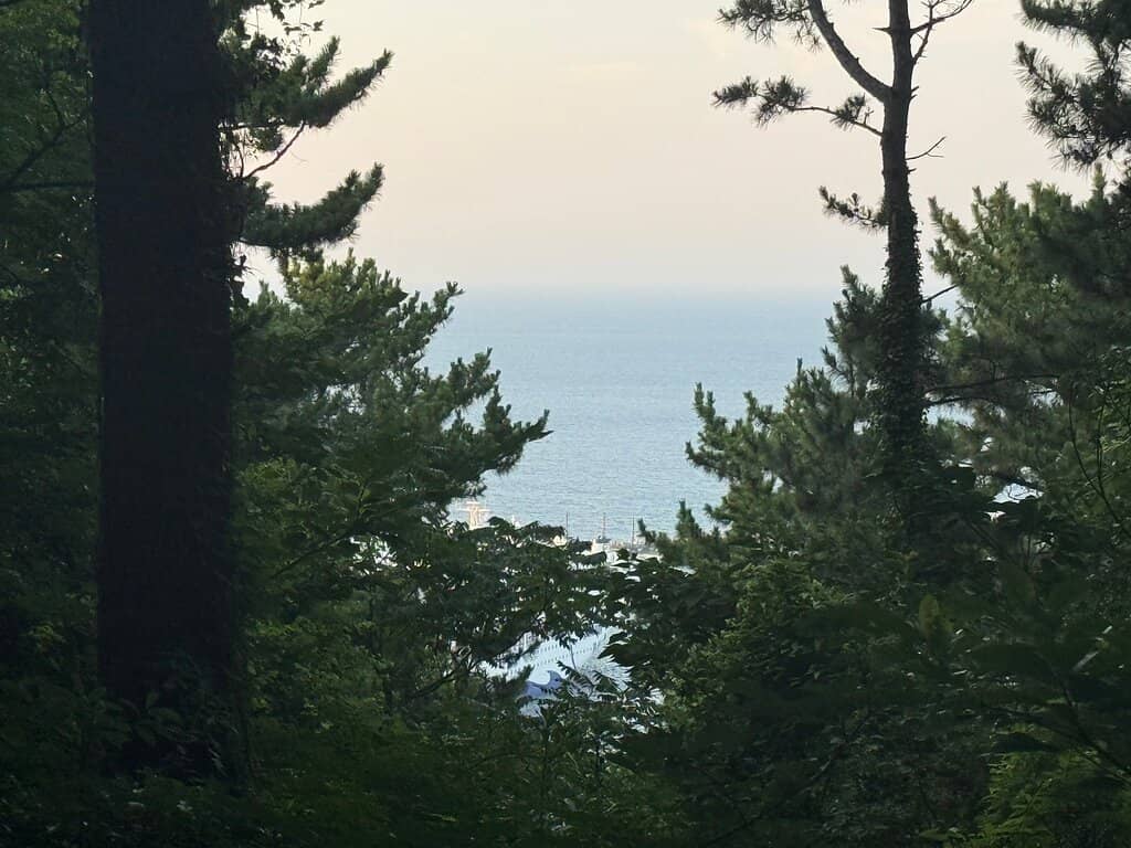 Peaceful Trails