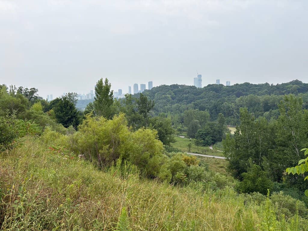 Don Valley Trails