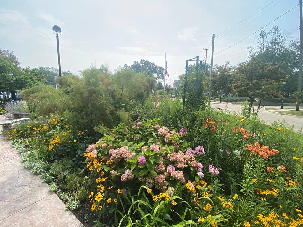 Butterfly Waystation