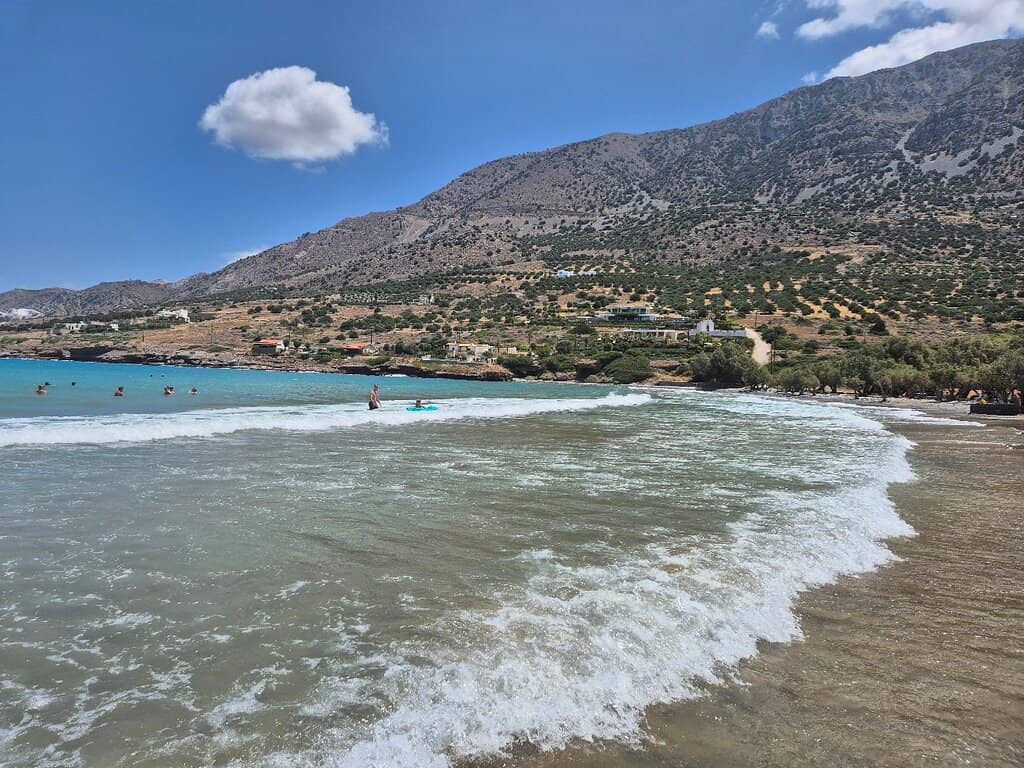 Sandy Shores & Shallow Waters