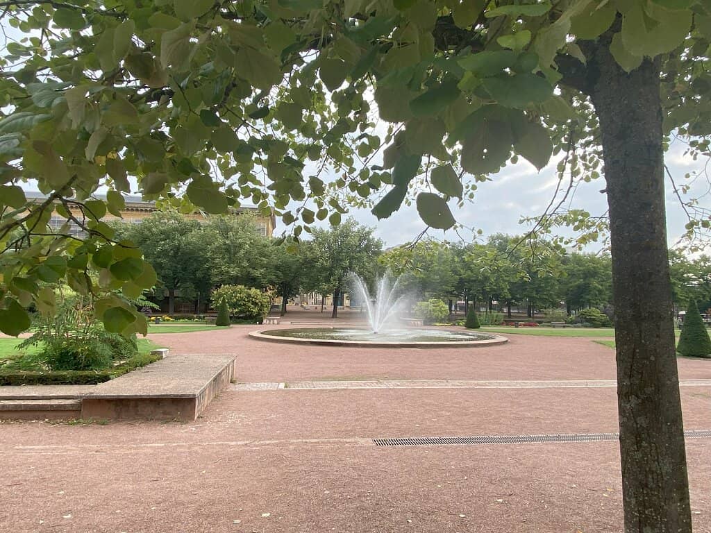 Seasonal Tropical Garden