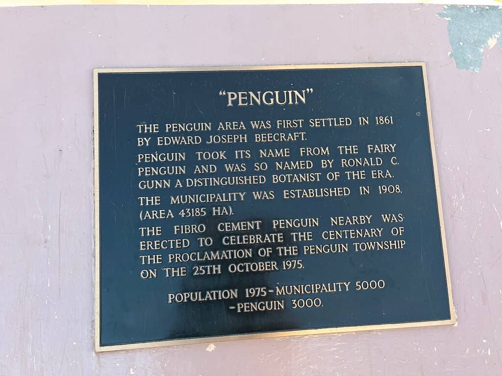 Penguin-Themed Town