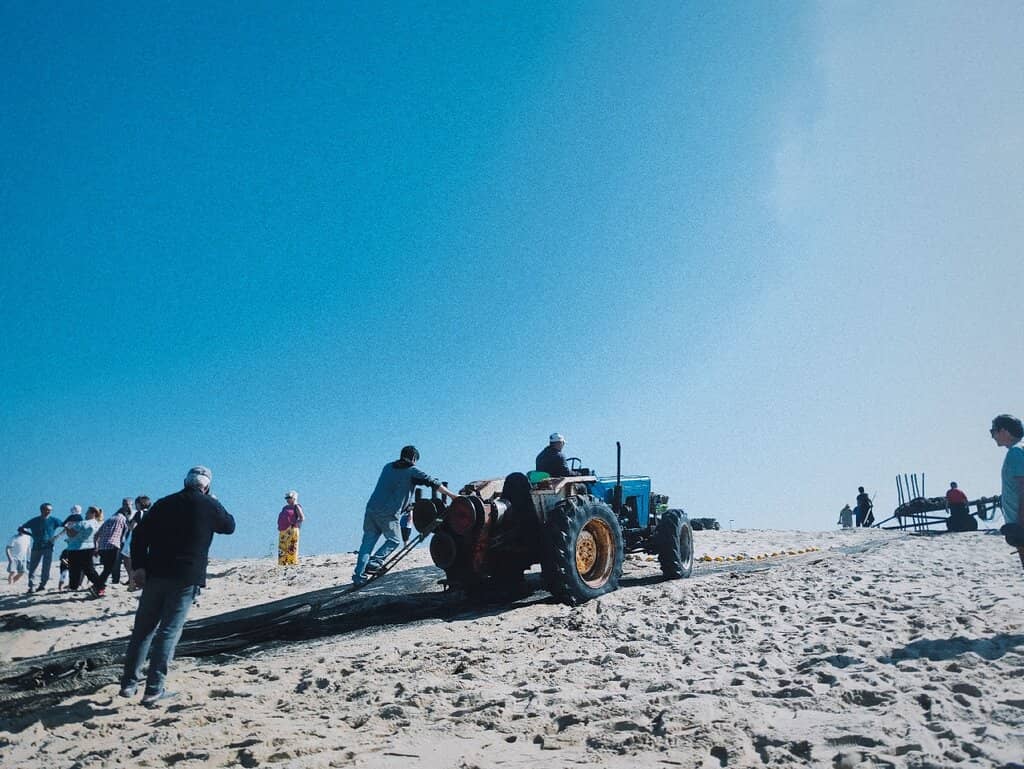 Long Sandy Shores