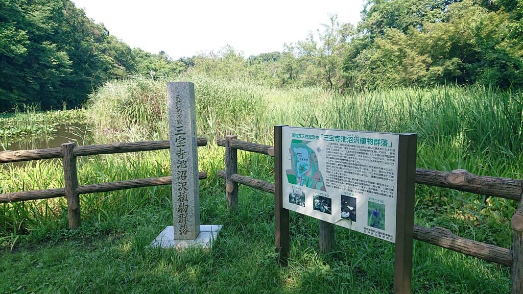Picnic & Play Areas