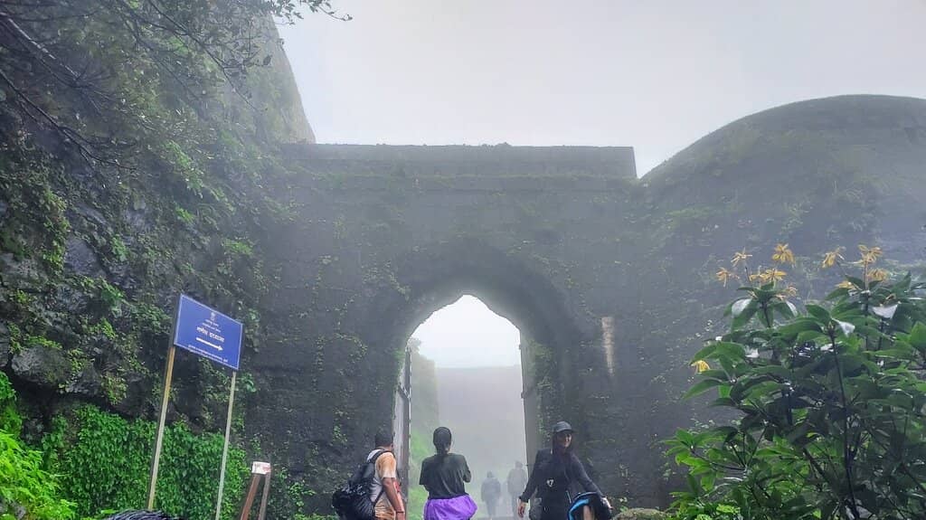 Panoramic Hilltop Views