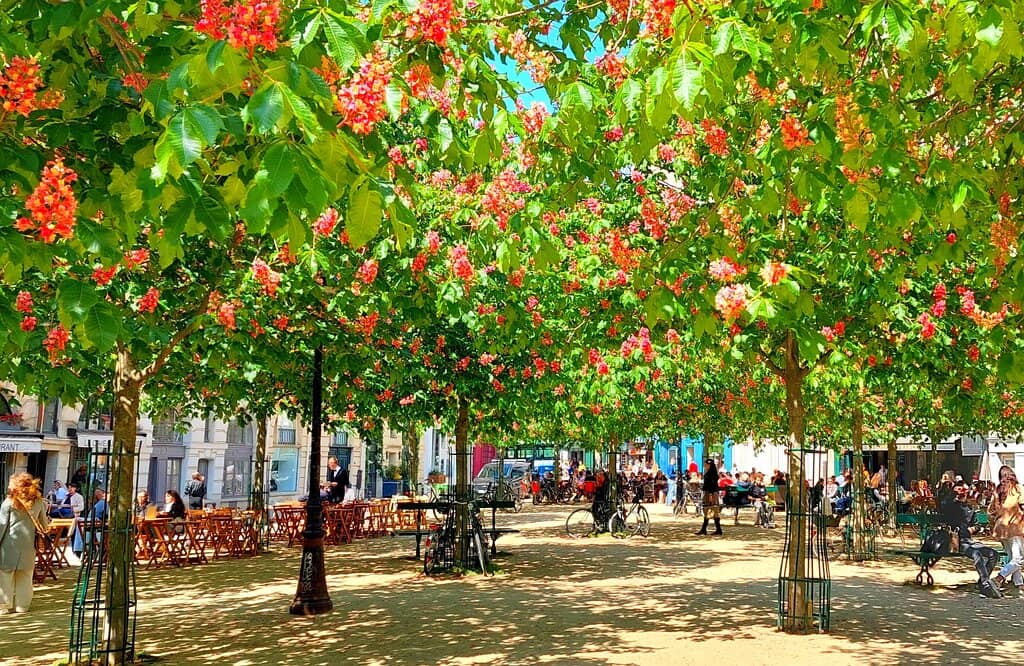 Pétanque Players in Action