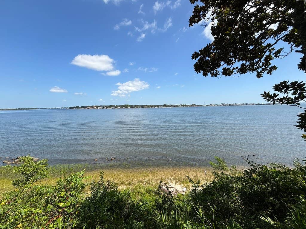 Bald Eagle Nesting Site