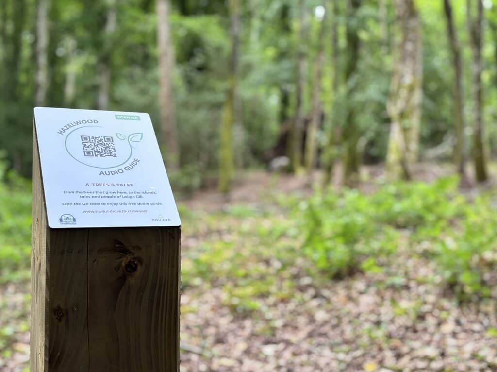 Forest Walking Trails