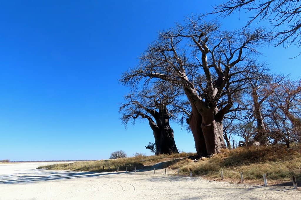 Remote Wilderness Experience